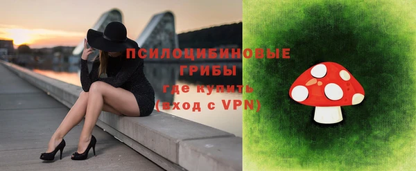 PSILOCYBIN Балабаново