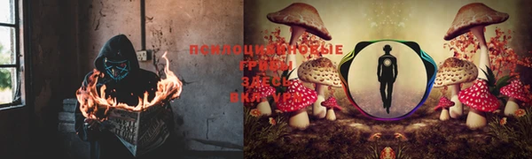 PSILOCYBIN Балабаново