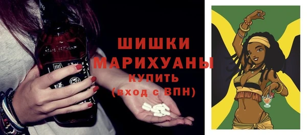 PSILOCYBIN Балабаново