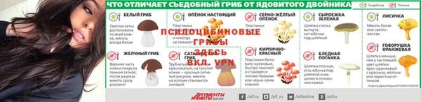 гашик Баксан
