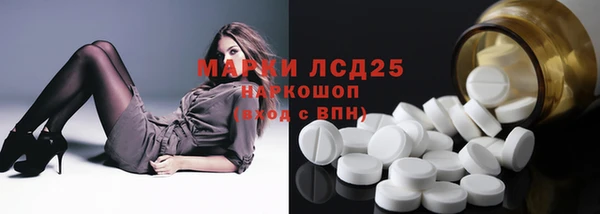 PSILOCYBIN Балабаново