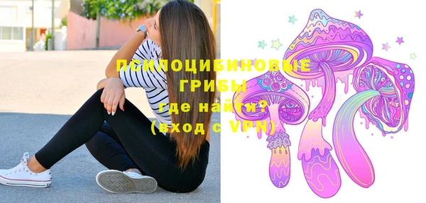 PSILOCYBIN Балабаново