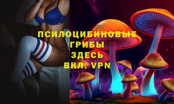 Альфа ПВП Балахна
