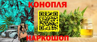 тгк Аргун