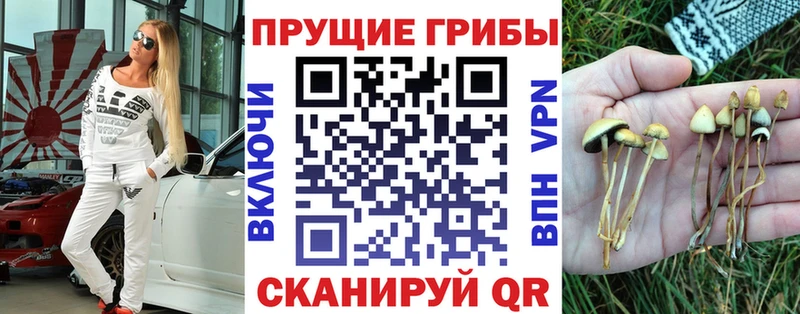 Псилоцибиновые грибы Cubensis  ОМГ ОМГ вход  Борисоглебск  что такое  