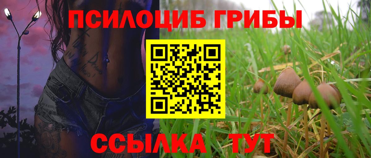 Галлюциногенные грибы Psilocybine cubensis  Вход с VPN  Борисоглебск 