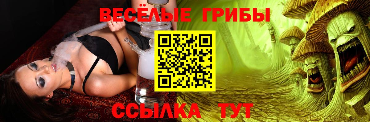 Псилоцибиновые грибы Psilocybine cubensis Борисоглебск